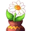 The Seed