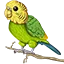 codes houwa