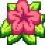 HibiscusMC