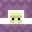 Shulker SMP