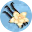 Vanilla Realms